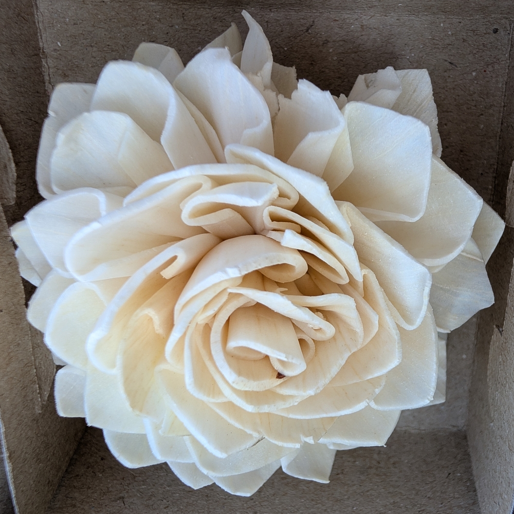 Elegant Cream Flower Accent